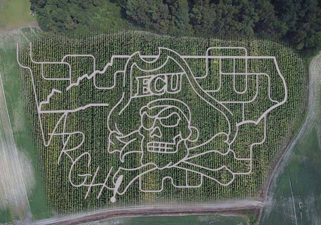 cornmaze